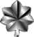 Lieutenant Colonel